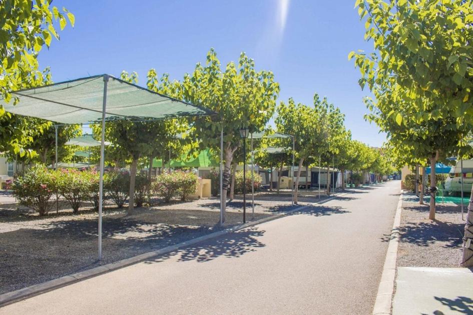 Camping Y Bungalows Monmar Moncofar Luaran gambar