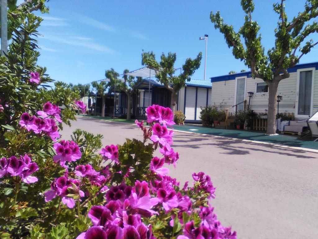 Camping Y Bungalows Monmar Moncofar Luaran gambar