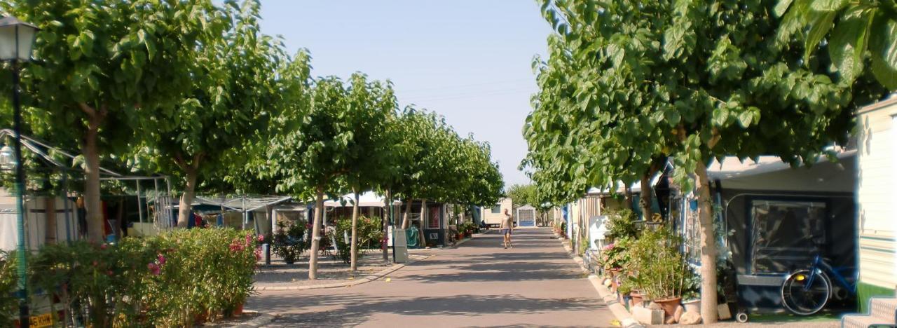 Camping Y Bungalows Monmar Moncofar Luaran gambar